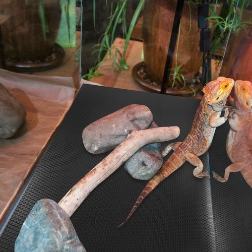 Reptile liner lizard carpet - reptile,