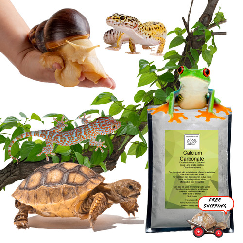 Bugznbits calcium dusting - calcium,