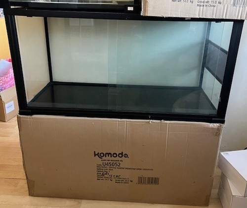 Komodo reptile glass terrarium - komodo,