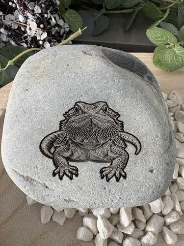 Engraved bearded dragon stone - dragon,
