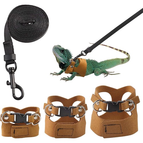 Bearded dragon harness - dragon,