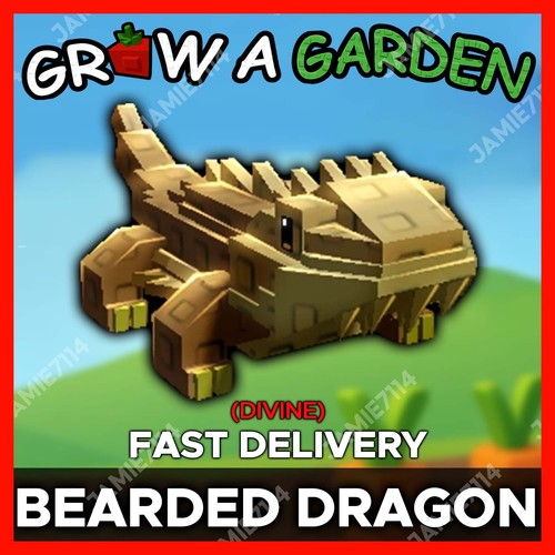 Bearded dragon cheapest - dragon,