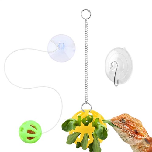 Suction cup bearded dragon - bearded,