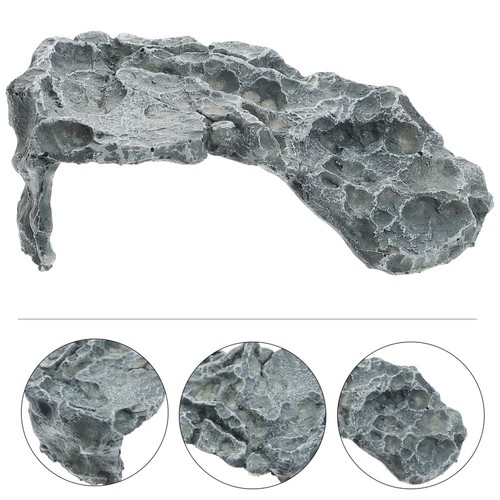 Bearded dragon rocks - bearded,